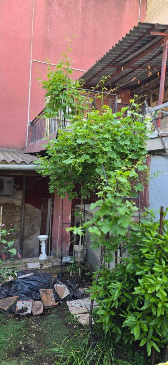 Appartamento In Casa Con Cortili Ad Arbus - Sardegna Экстерьер фото